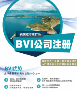 如何拟定 BVI 公司注册名称 ?